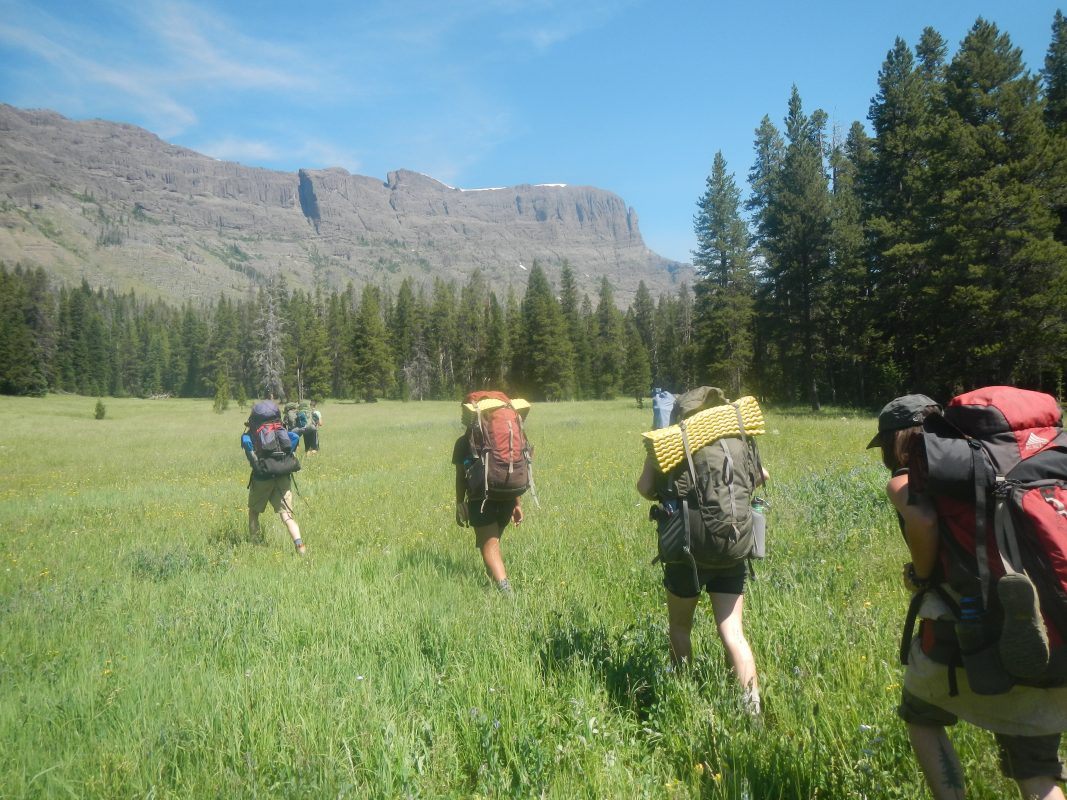 bushwhackers crossing a green meadow