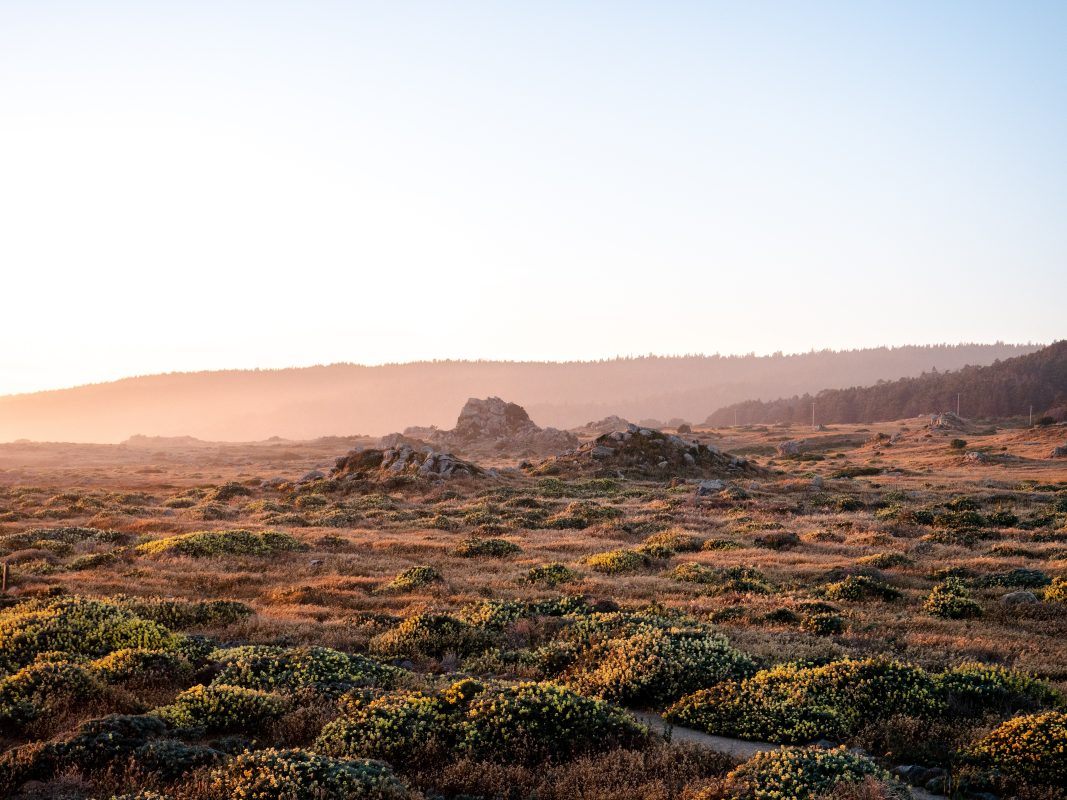 Wilderness area