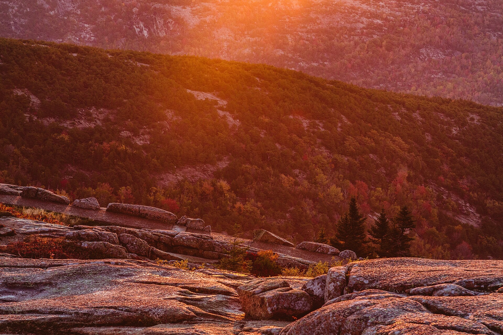 Sunrise casting warm light across Cadillac Mountain in Acadia National Park