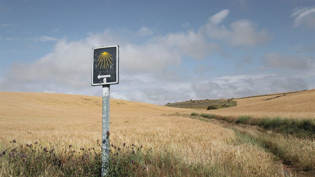 Guide to the Camino de Santiago (Camino Frances)