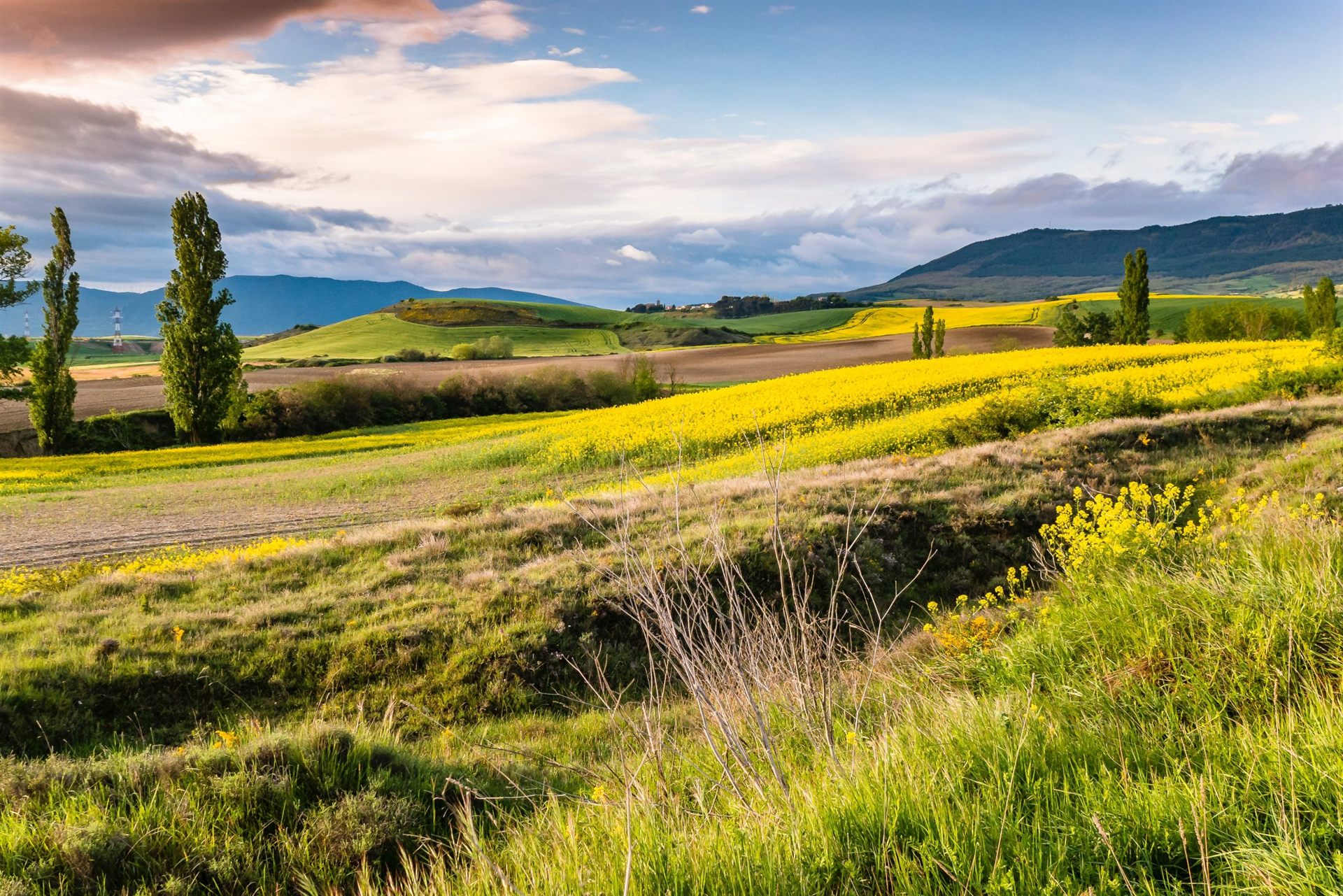 Way of St. James, Camino de Santiago (Camino Frances)