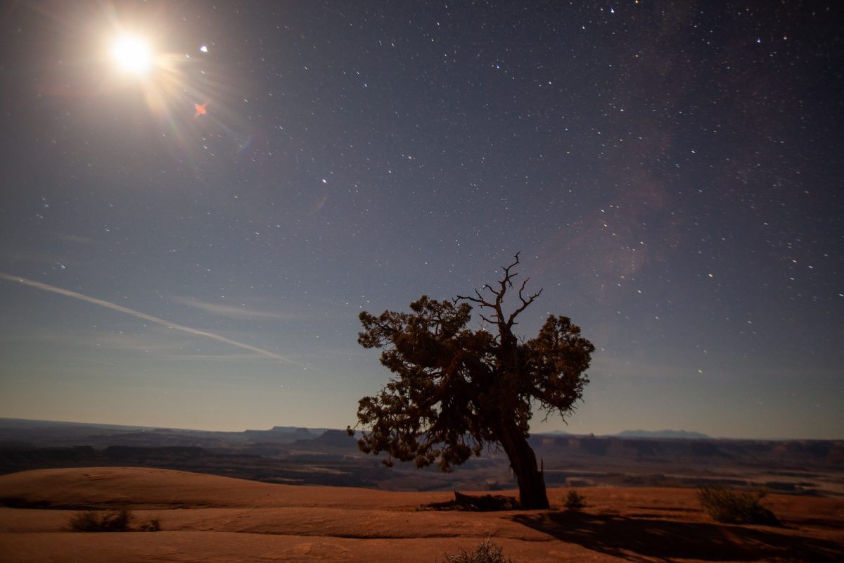 Night life in Canyonlands National Park