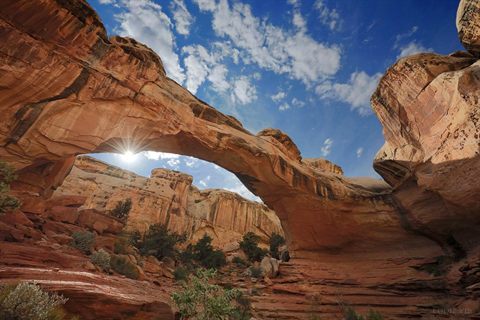 Capitol Reef National Park: A Crowd-Free Desert Wonderland