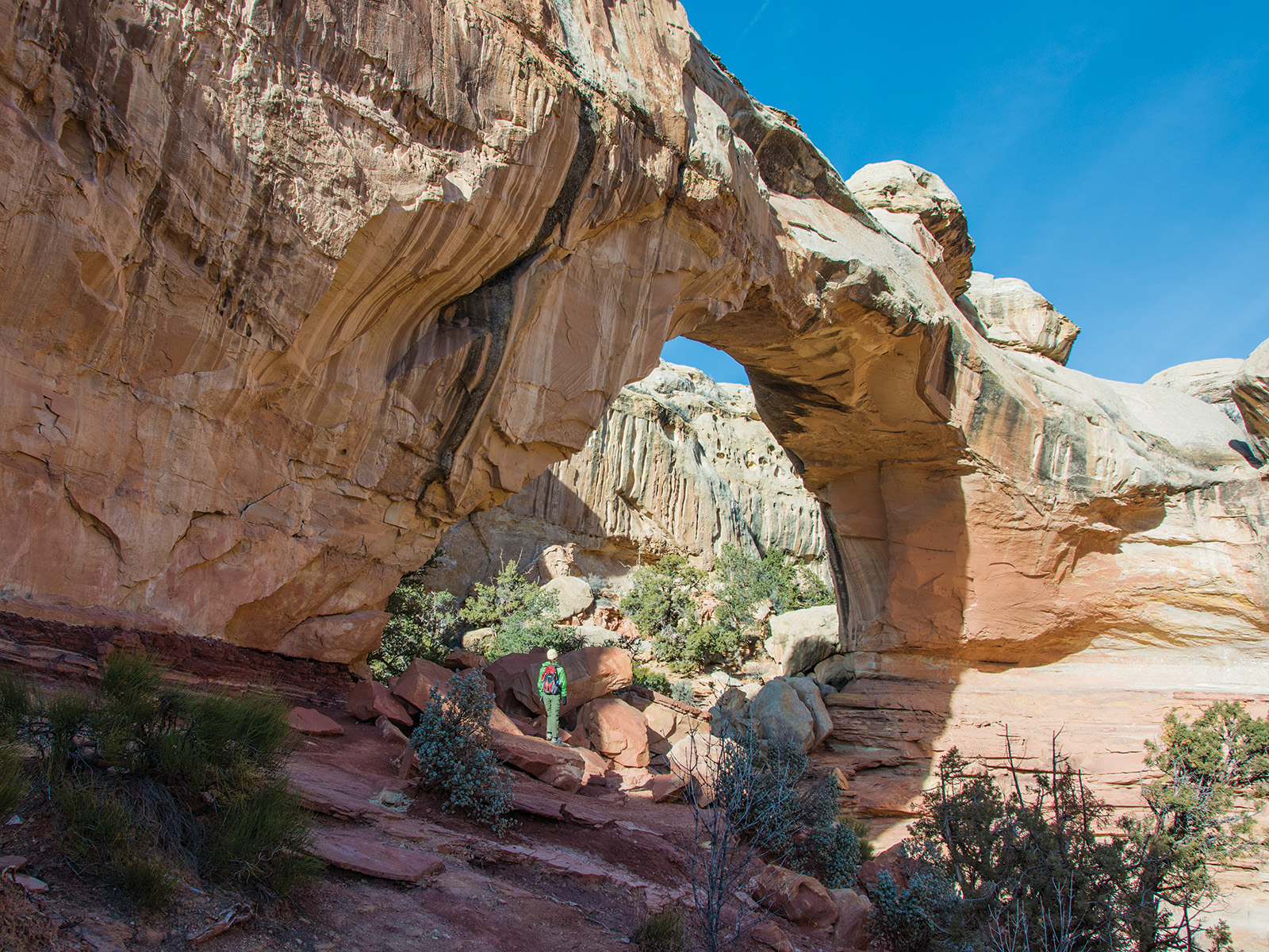 A hiker standing beside the natural sandstone Hickman Bridge
