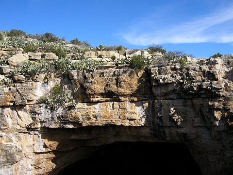 Exploring the Depths of Carlsbad Caverns National Park