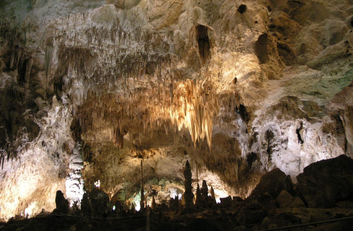 The Big Room, Carlsbad Caverns