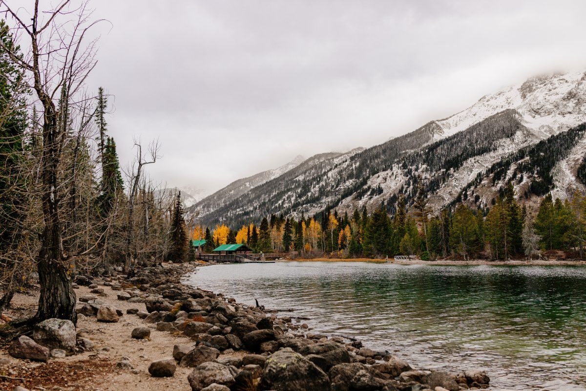 Trail leading to Jenny lake
