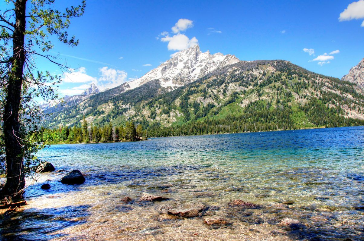 Jackson Hole