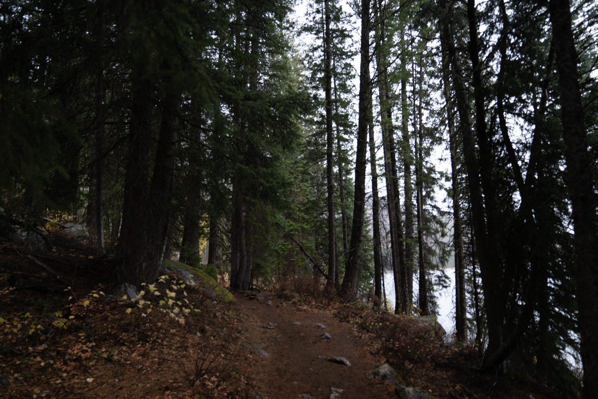 Trail In Grand Teton National Park
