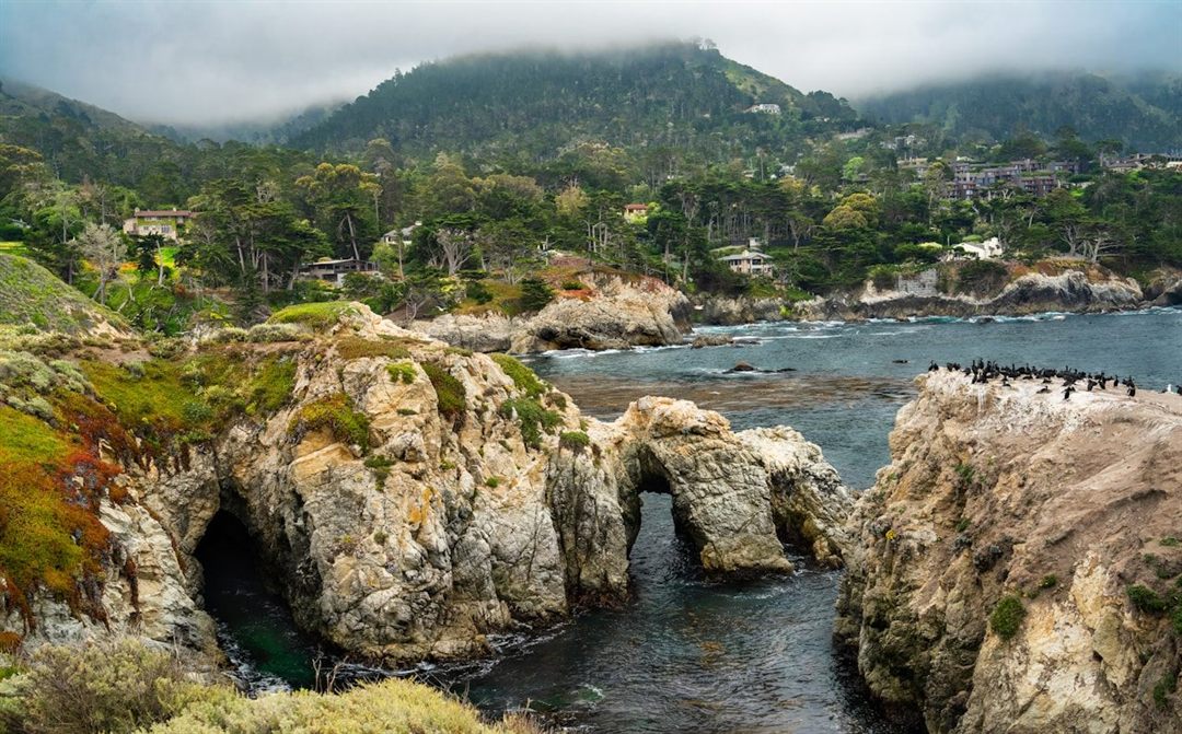 Coastal cliffs and a sheltered cove at Point Lobos State Natural Reserve