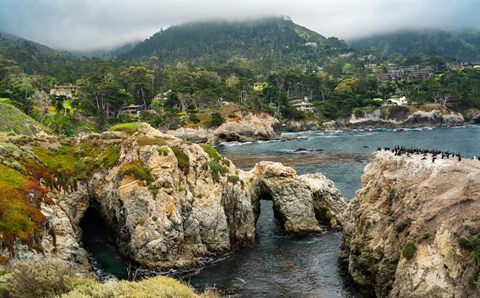 Coastal cliffs and a sheltered cove at Point Lobos State Natural Reserve