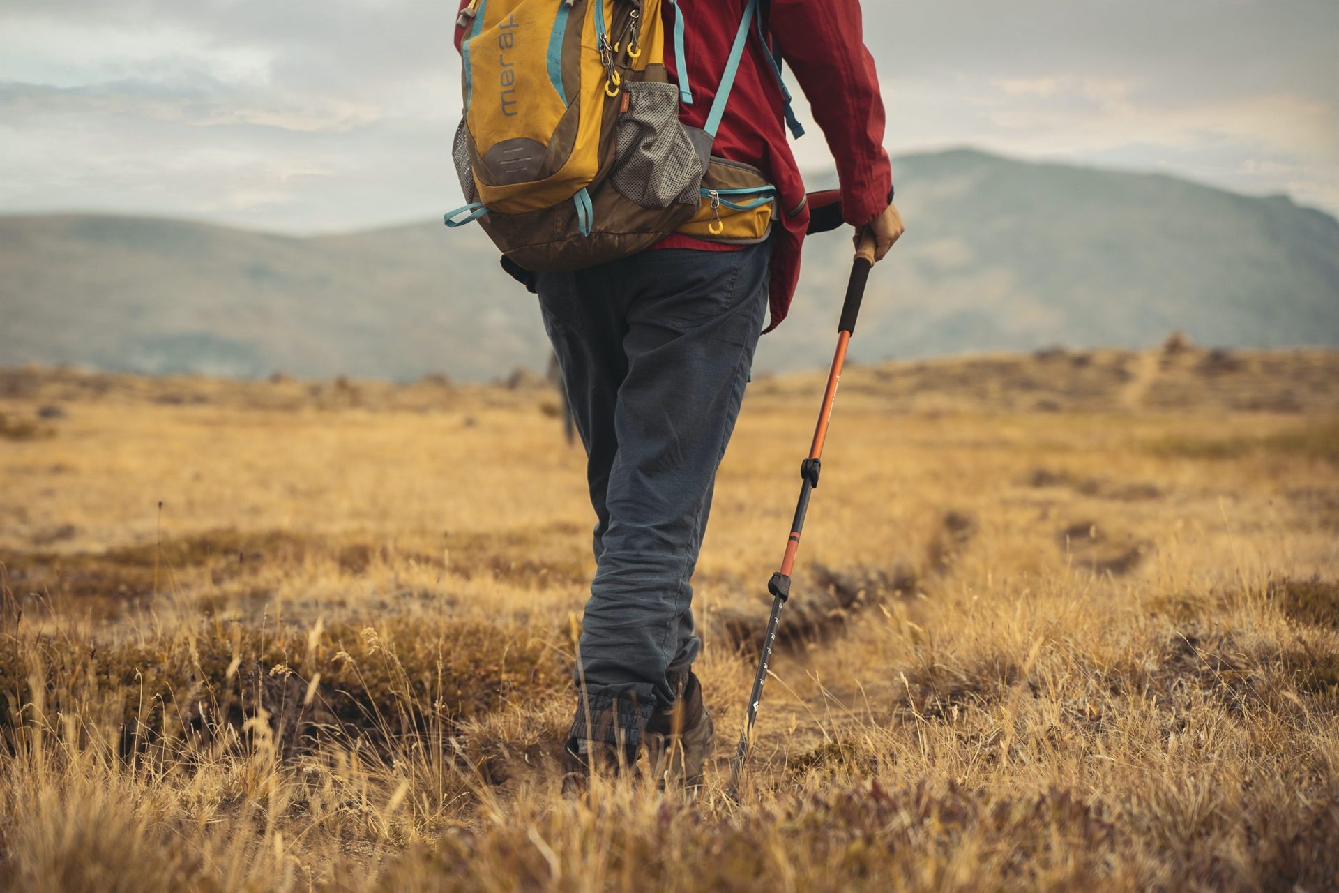 hiker with trekking poles