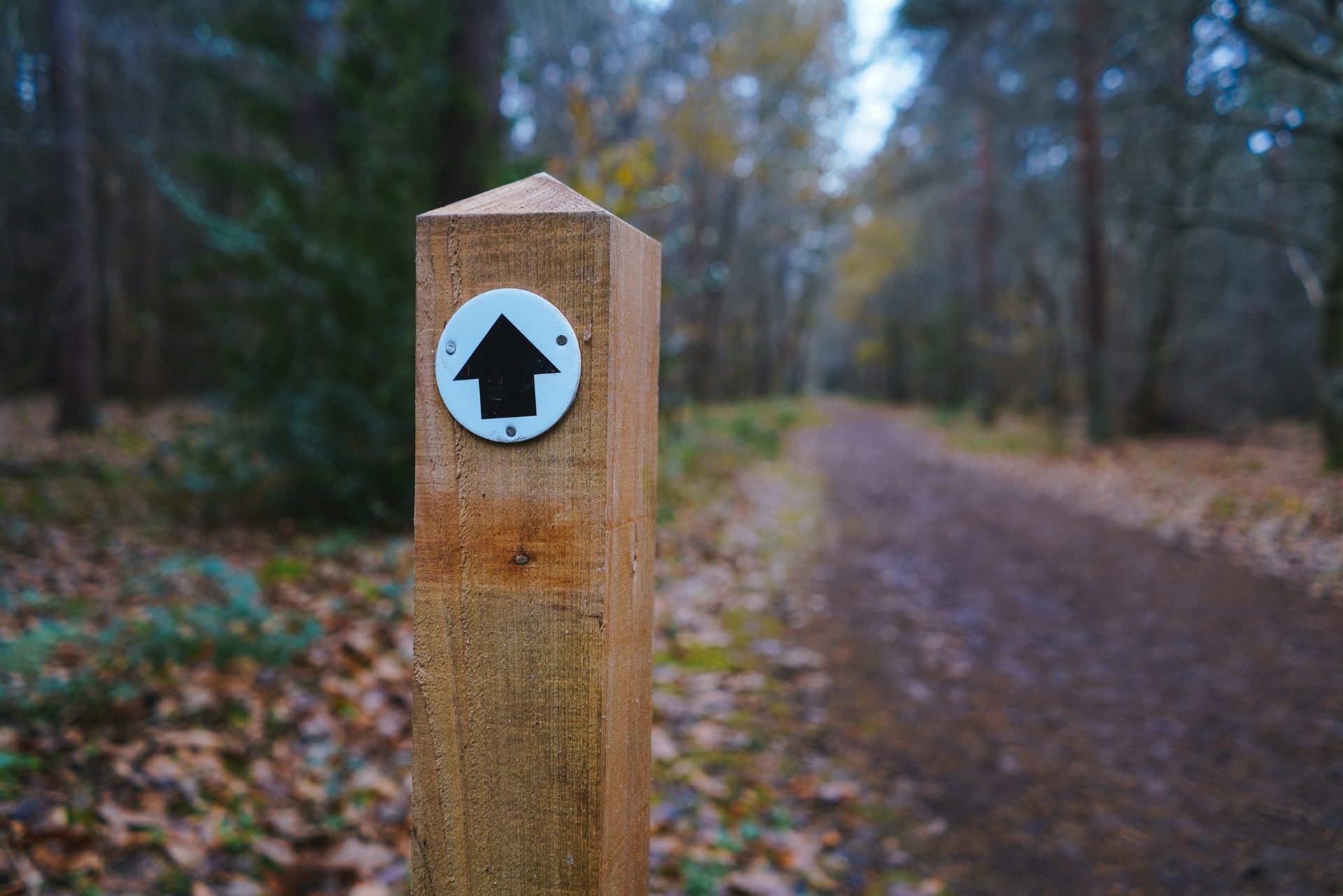 trail sign
