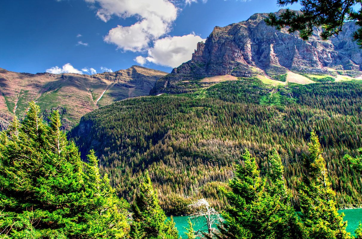 A section of the Continental Divide Trail near Glacier National park