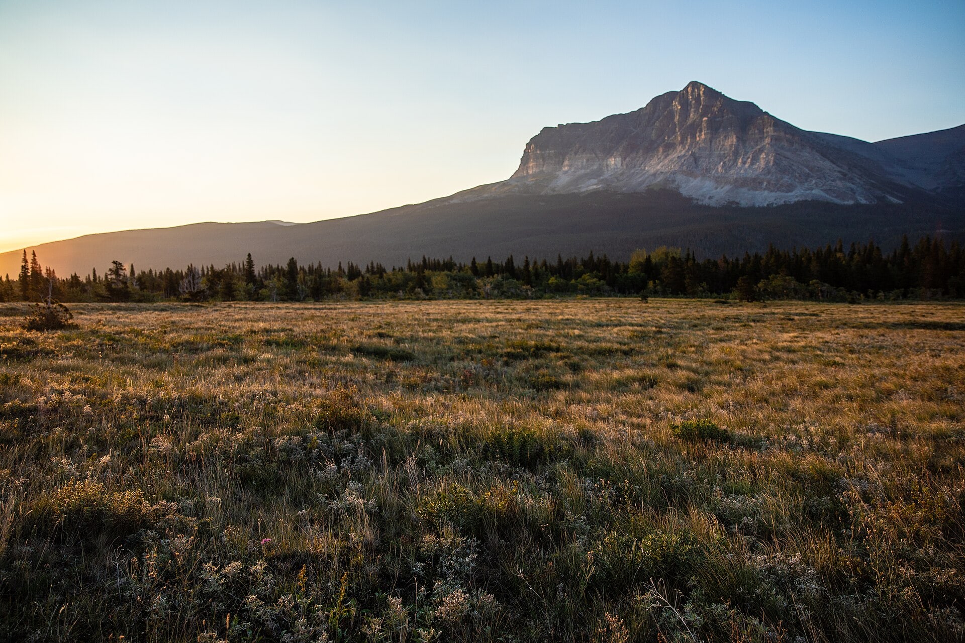Early sunlight illuminating the Many Glacier valley and meadow
