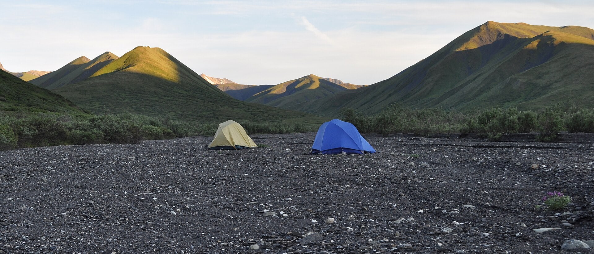 A tent in the Savage River valley in Denali National Park