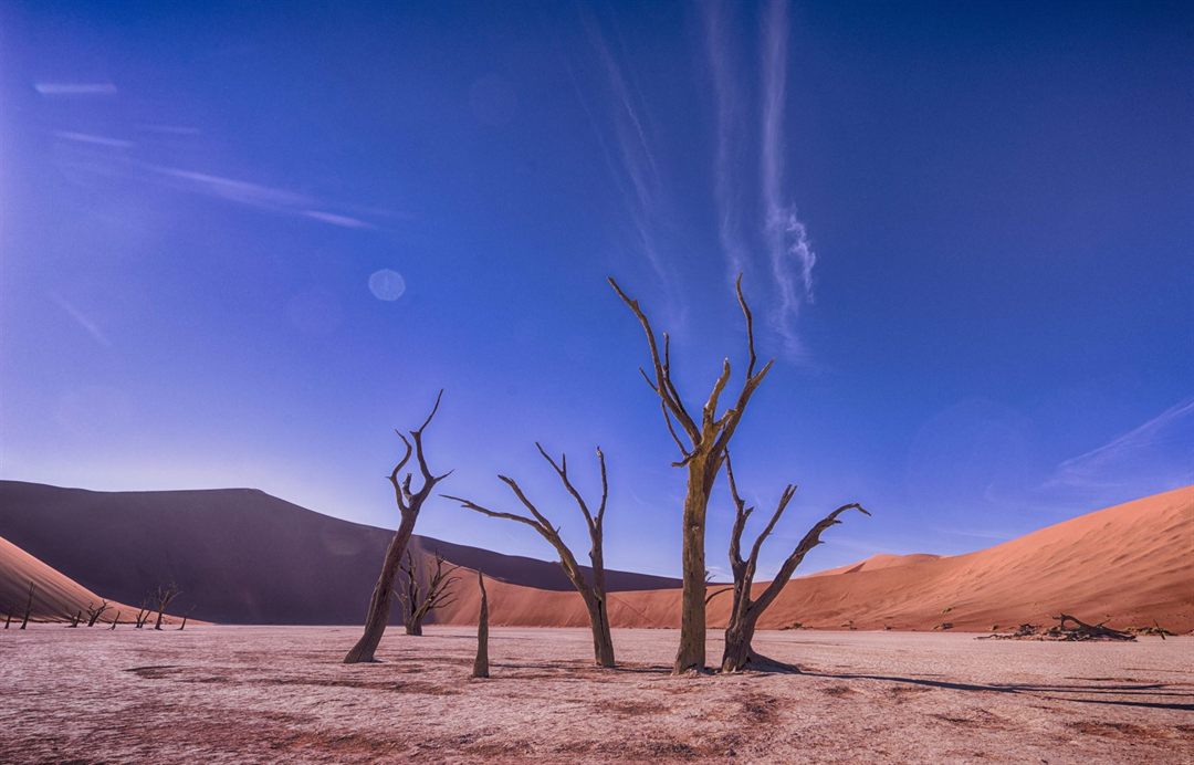 Desert Hiking: Tips for Hiking and Backpacking in Arid Environments
