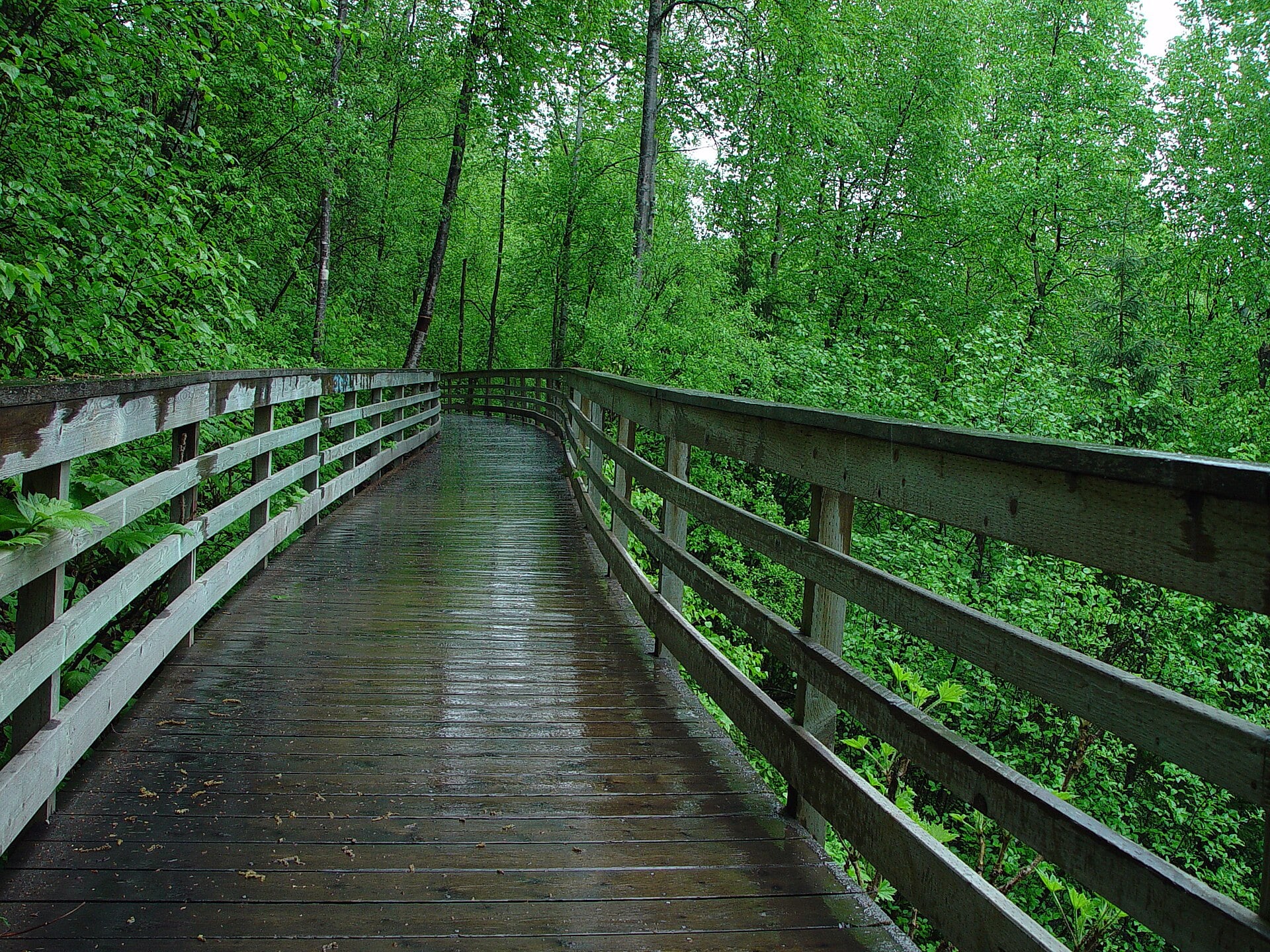 Thunderbird Falls Trail near Anchorage