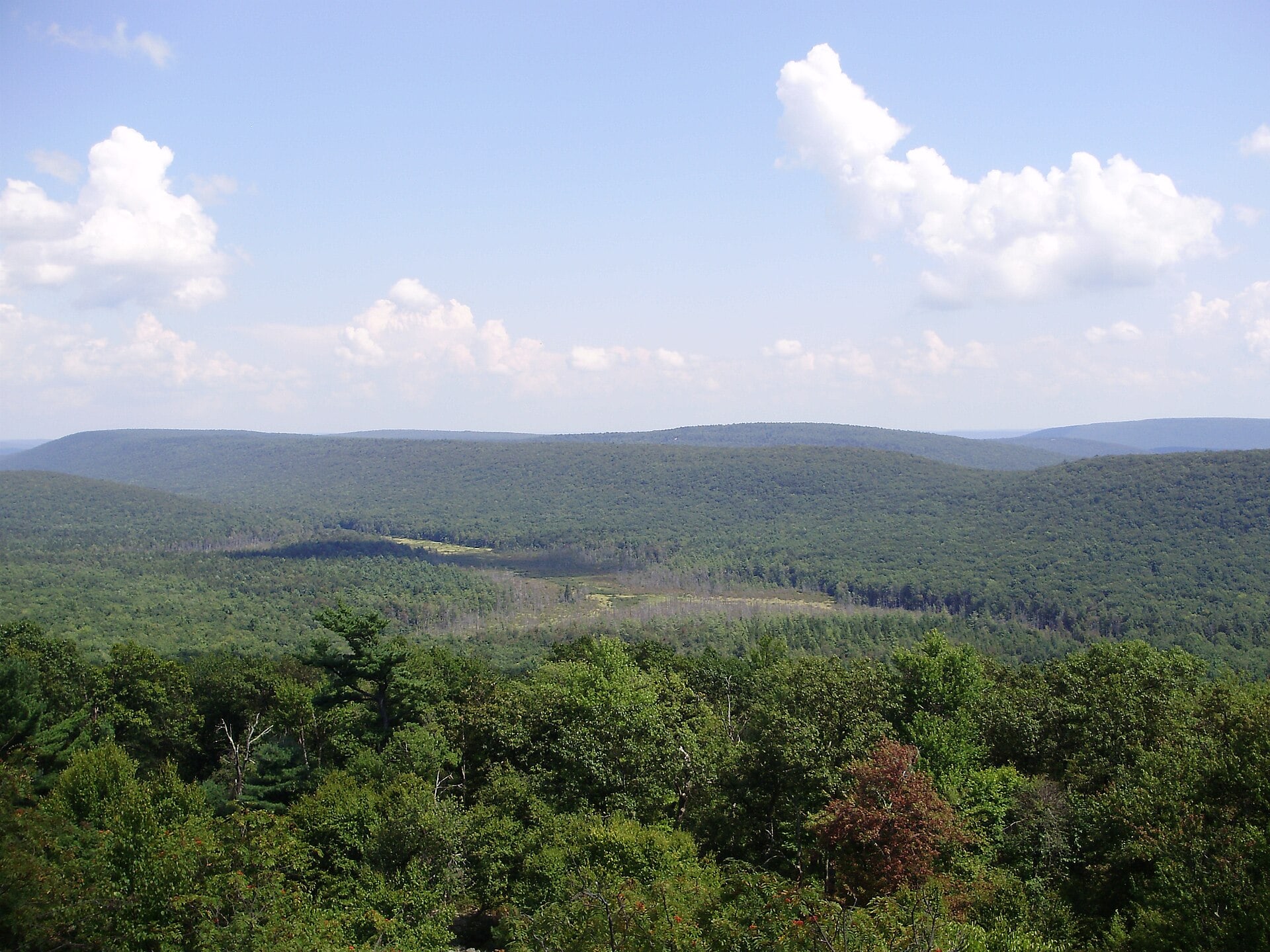 Bear Meadows Natural Area in Rothrock State Forest
