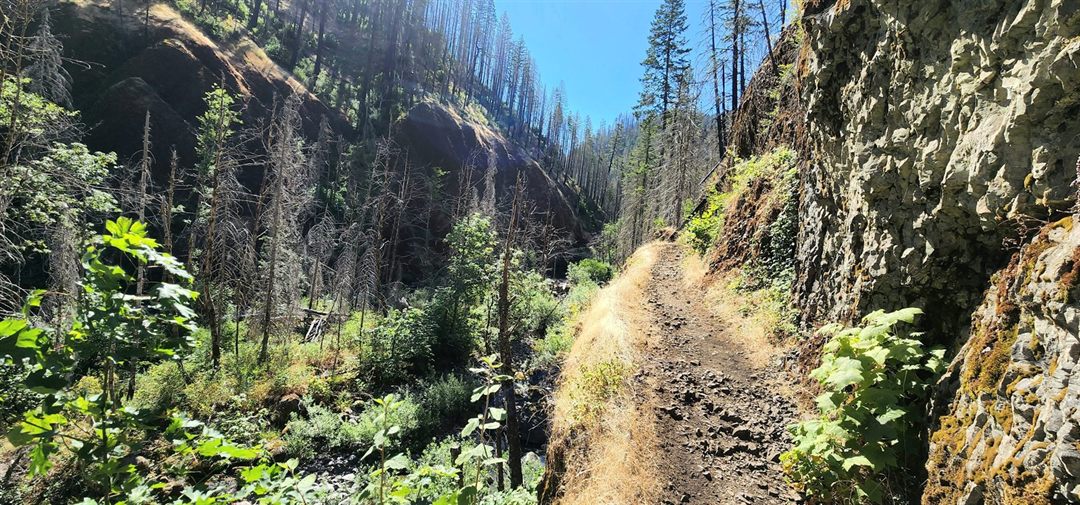 The Eagle Creek Trail: A Journey Through Time and Nature