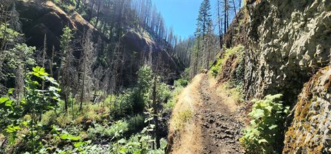 The Eagle Creek Trail: A Journey Through Time and Nature