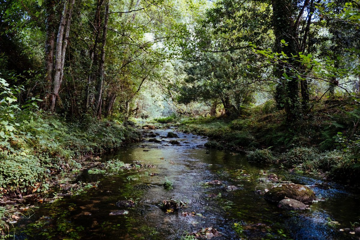 Creek crossing