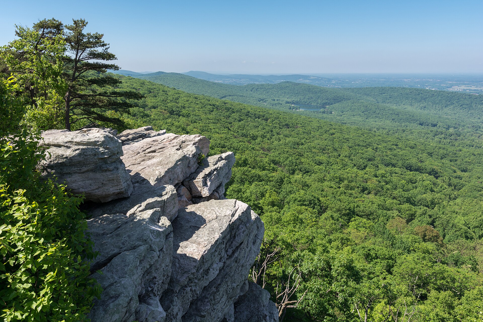 The forested view from Annapolis Rock in Maryland