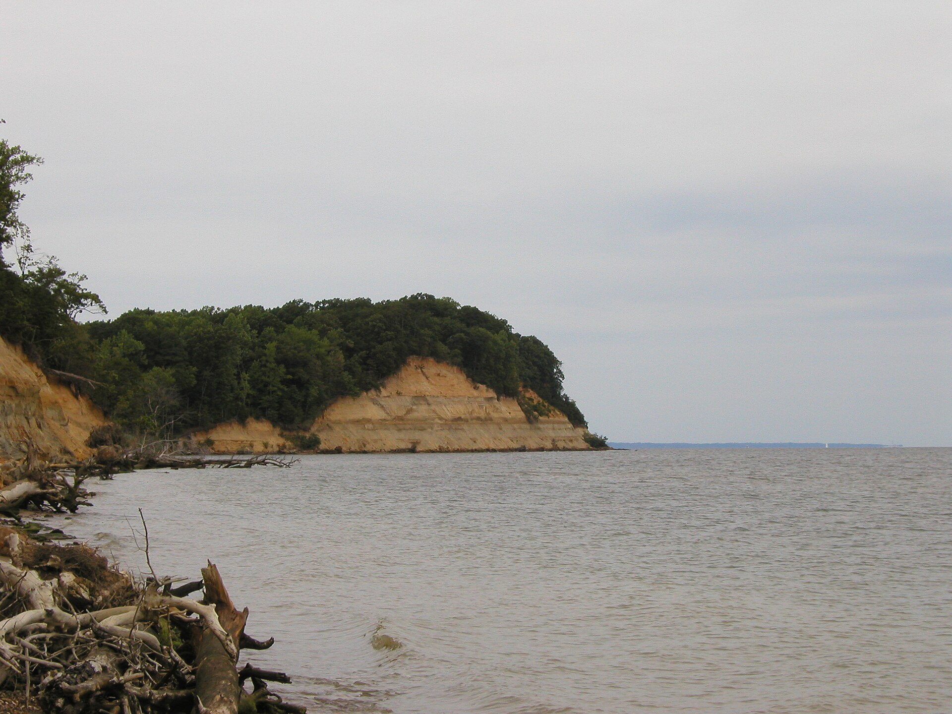Calvert Cliffs rising above Chesapeake Bay