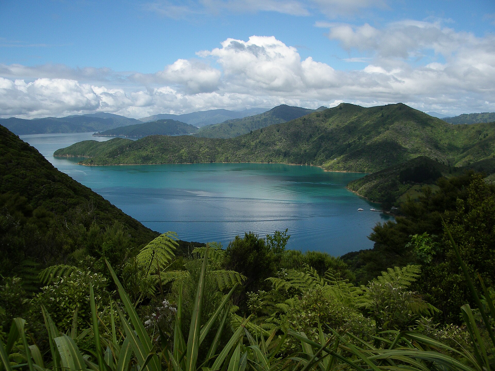 Queen Charlotte Sound viewed from the Queen Charlotte Track