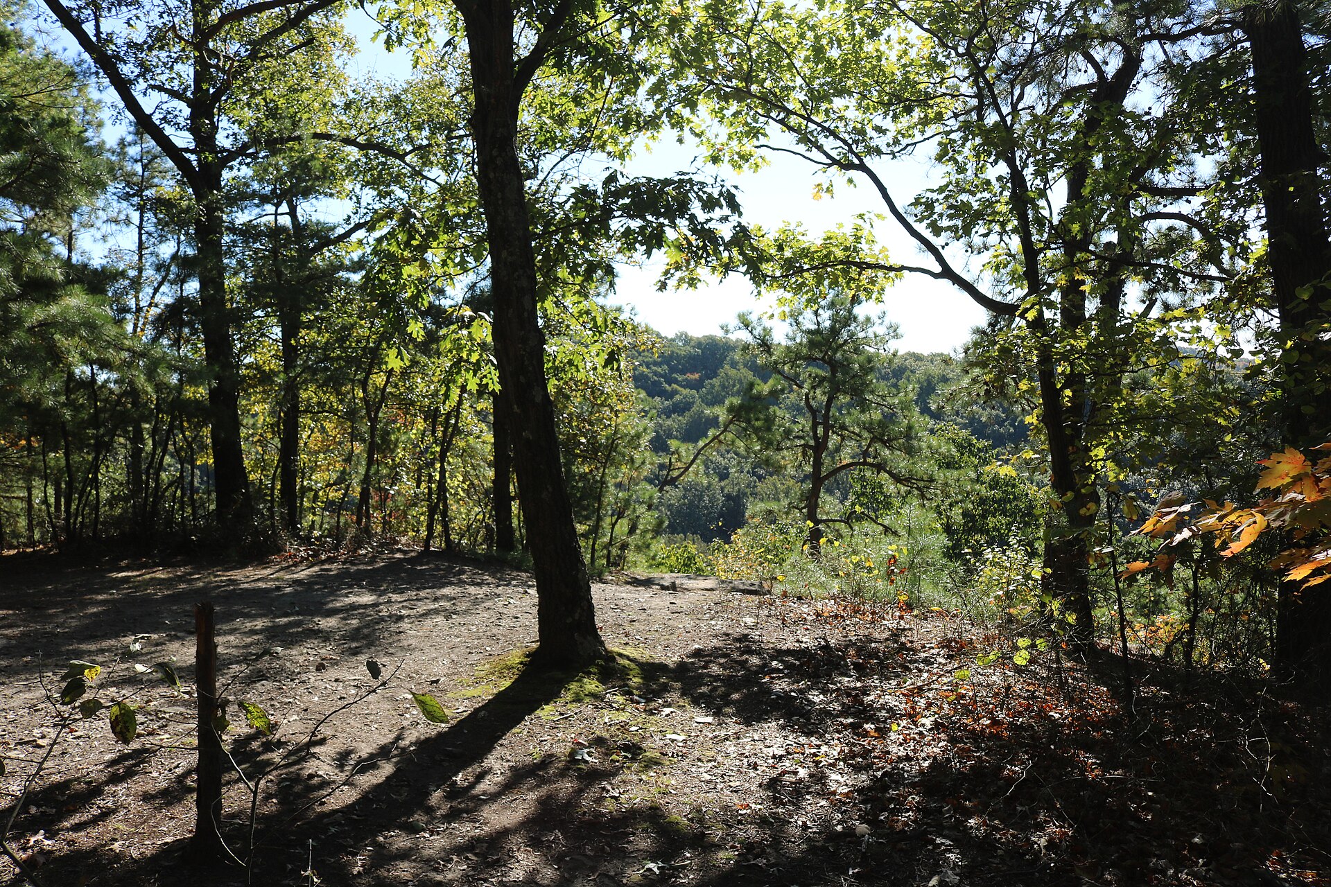 A wooded overlook in Christmas Rocks State Nature Preserve