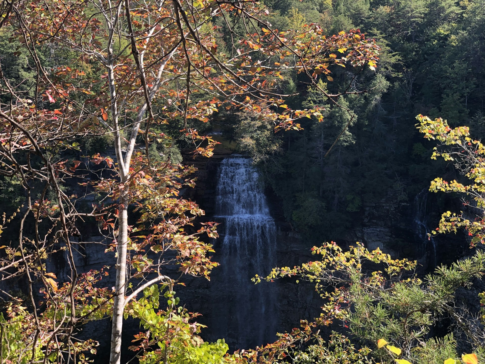 Fall Creek Falls dropping through a forested gorge in Tennessee