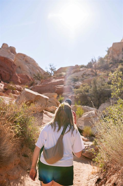 Two hikers walking through a sunny red-rock desert landscape