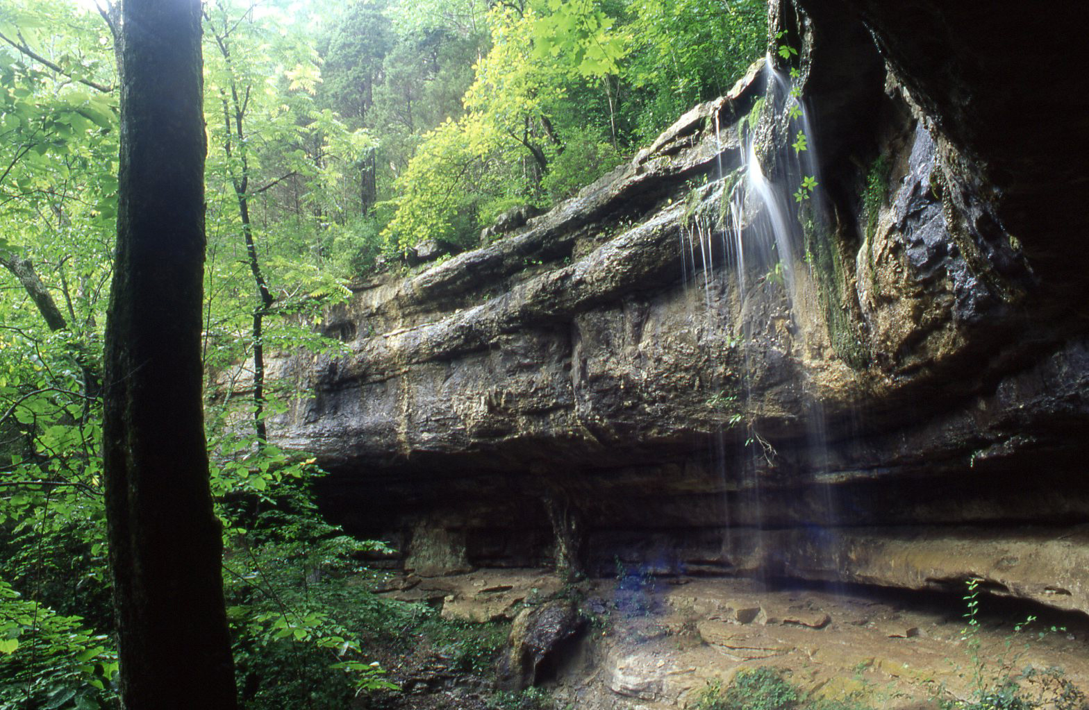 Dry Falls beneath a rocky overhang on Monte Sano