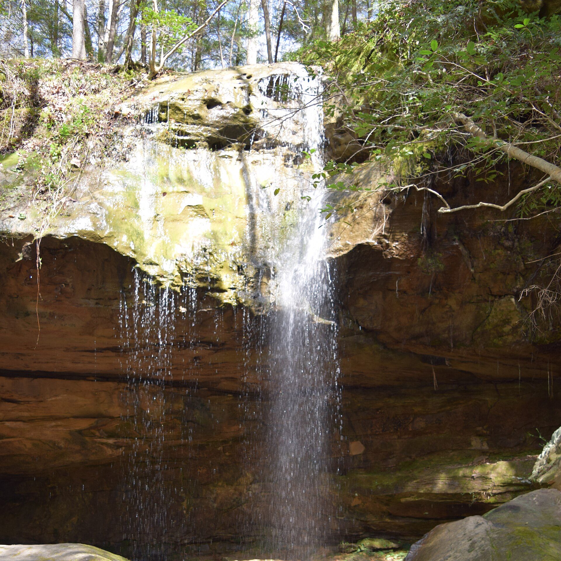 A forest waterfall in Alabama's Sipsey Wilderness