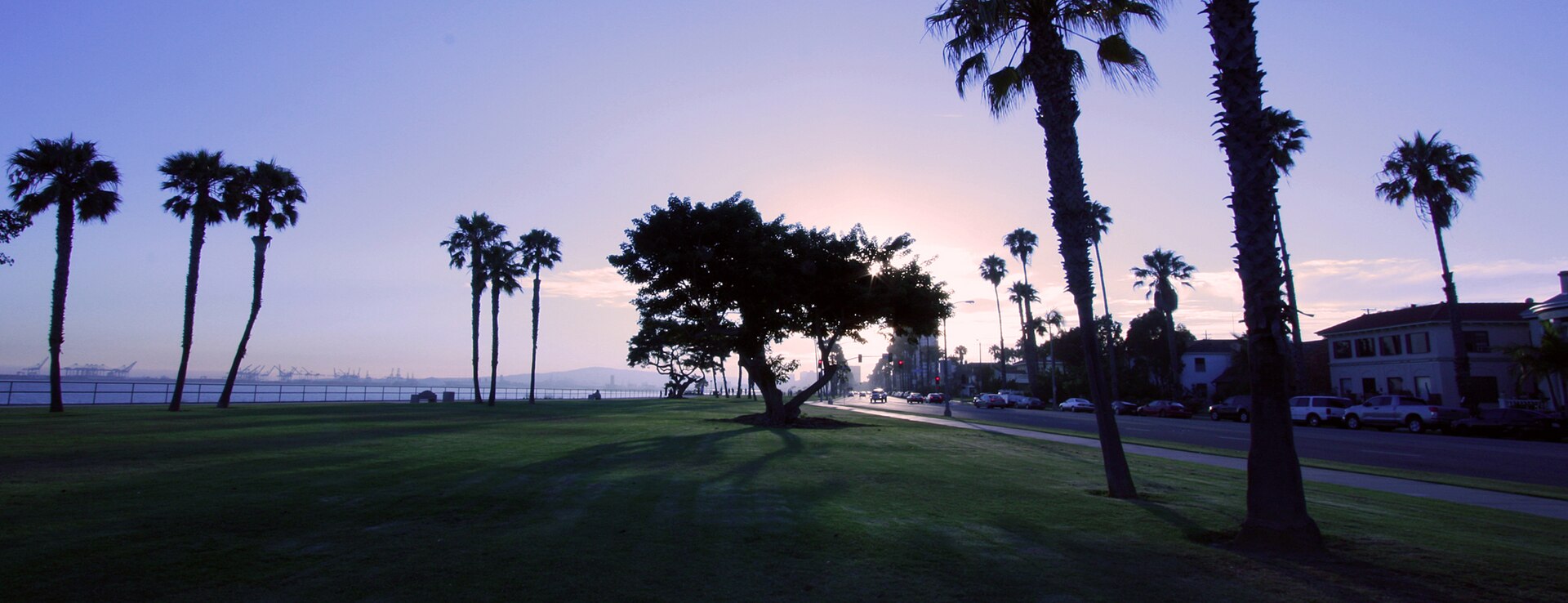 Bluff Park's palm-lined waterfront at dusk