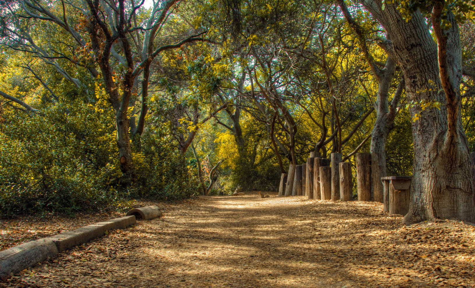 A shaded woodland path at El Dorado Nature Center