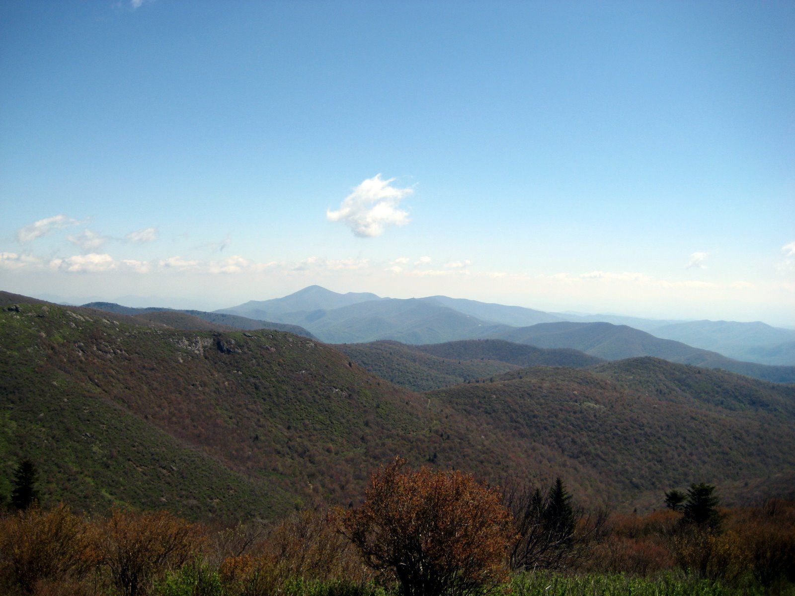 Mountain ridges seen from Tennent Mountain on the Art Loeb Trail