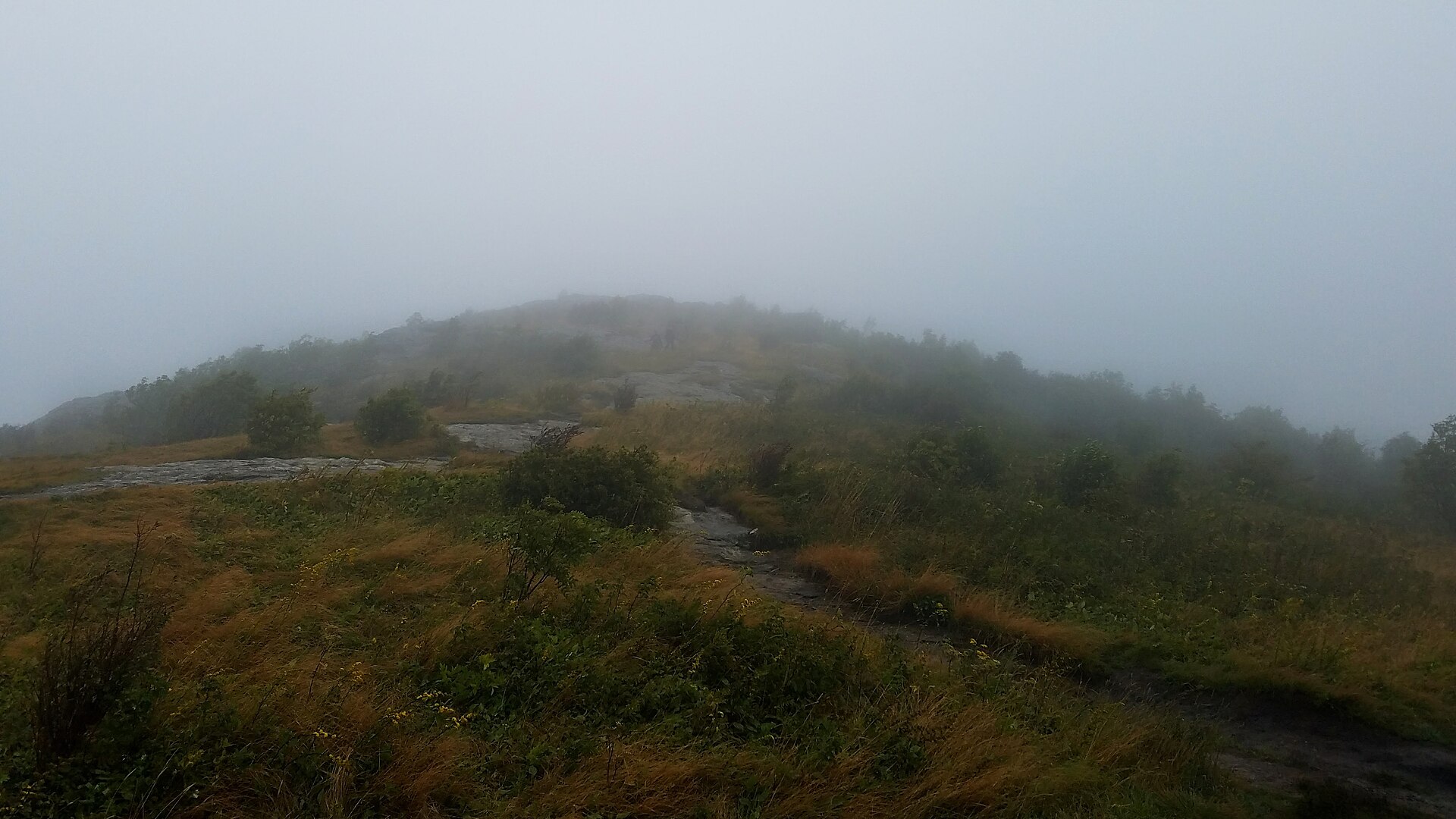 The trail crossing foggy Black Balsam Knob in autumn