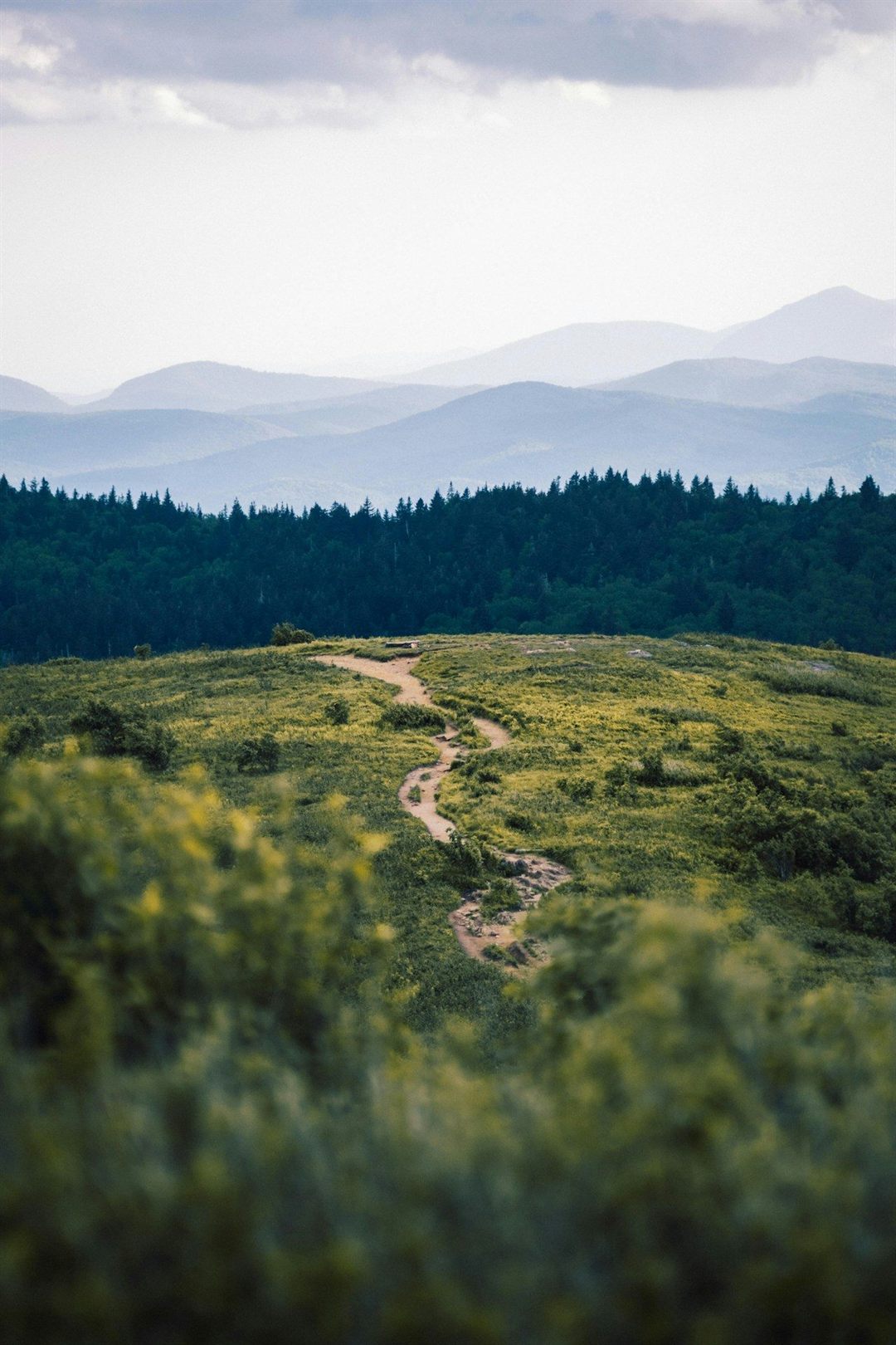 Mountain trail crossing Black Balsam in North Carolina