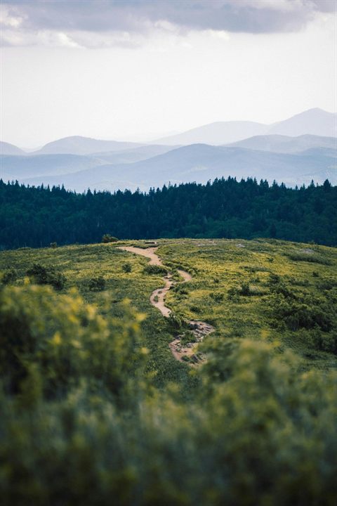 Mountain trail crossing Black Balsam in North Carolina