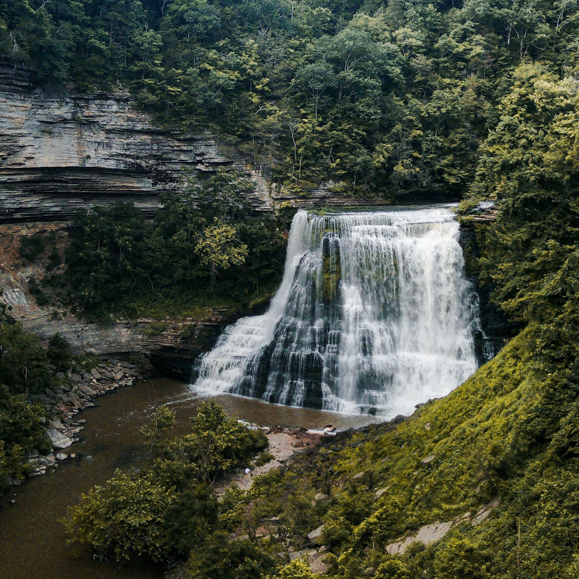 Burgess Falls cascading through green forest