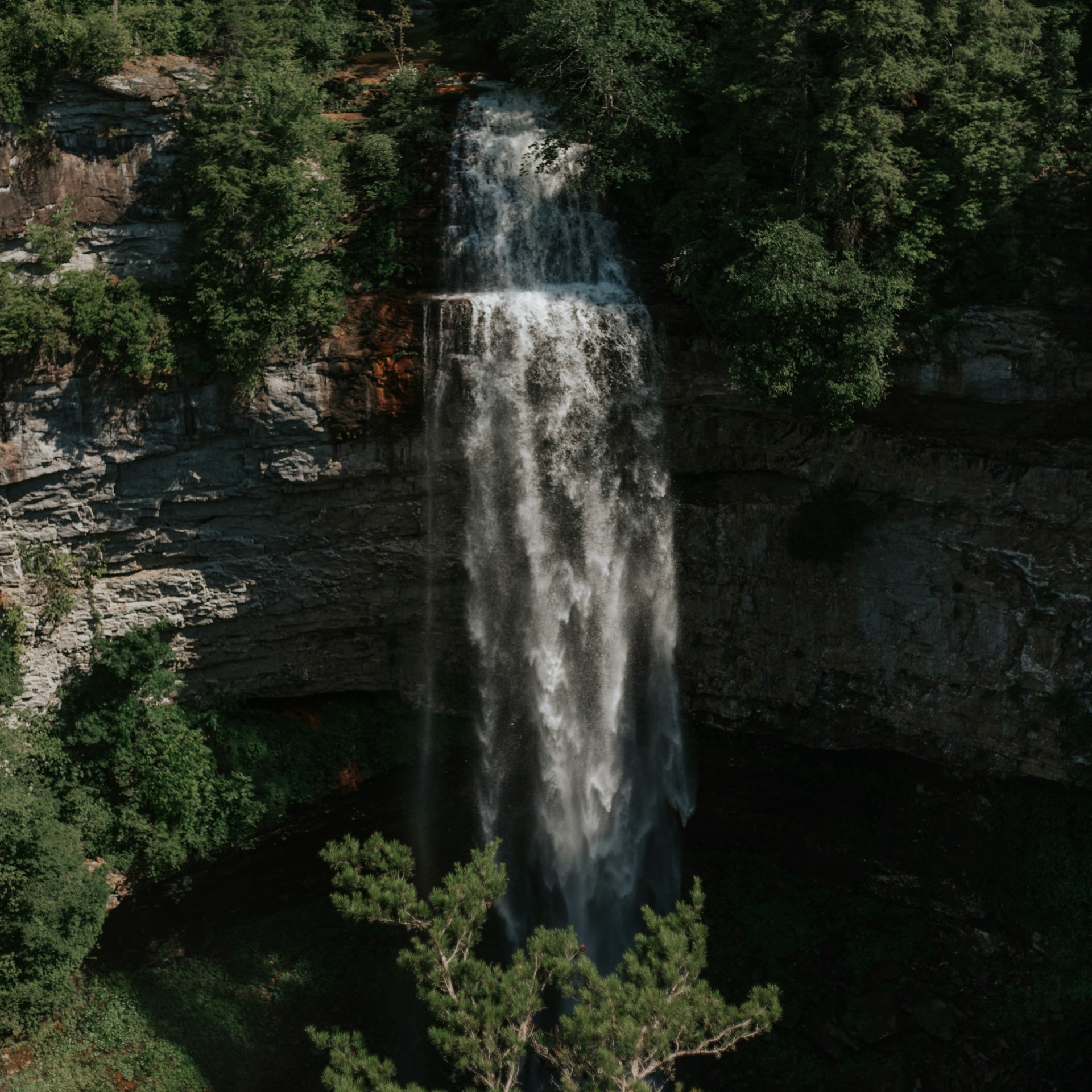 Fall Creek Falls dropping through a forested gorge