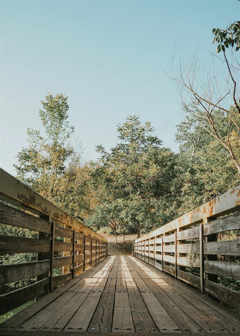 Wooden trail bridge at Radnor Lake State Park near Nashville
