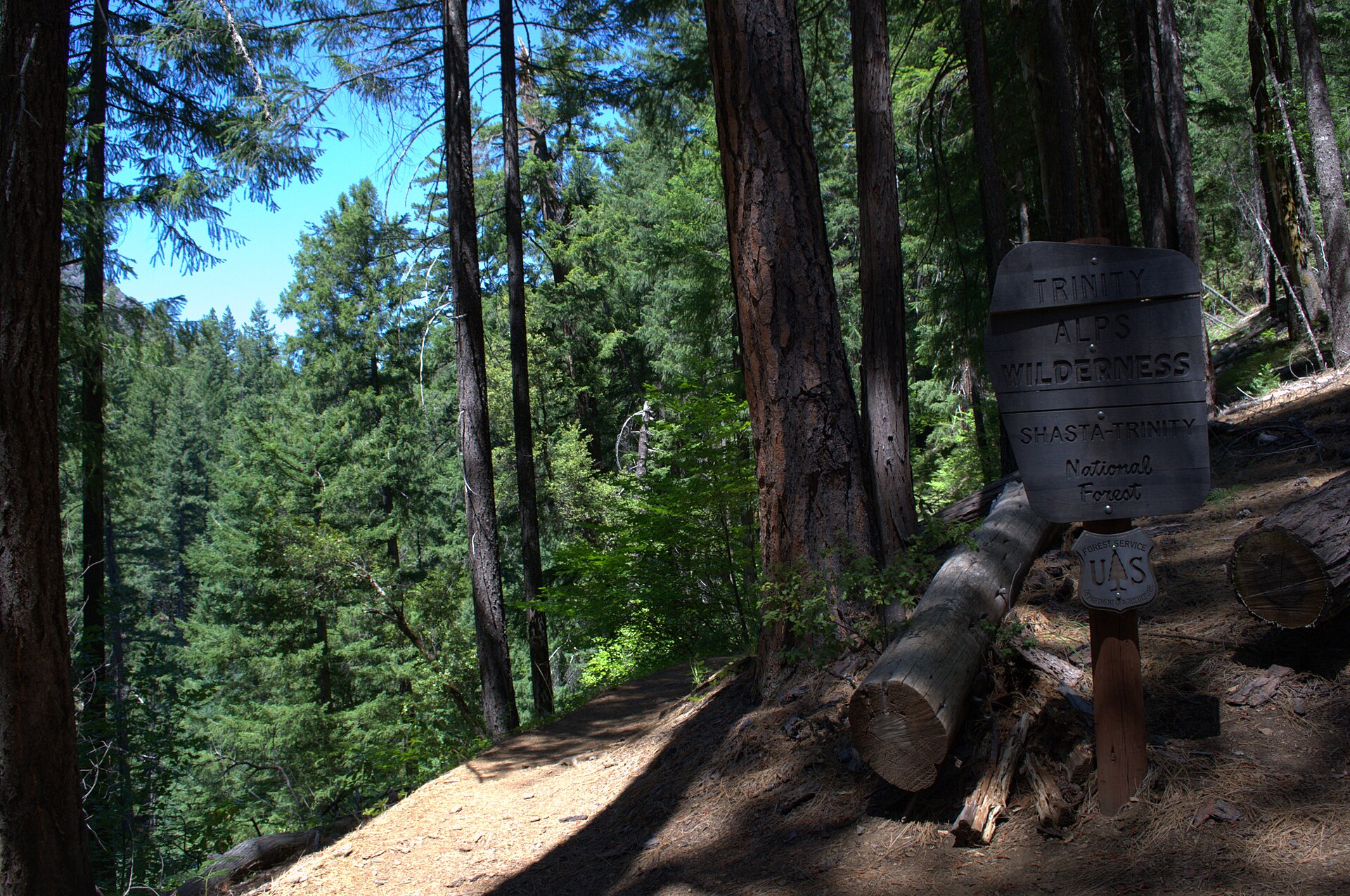 A forest path entering the Trinity Alps Wilderness