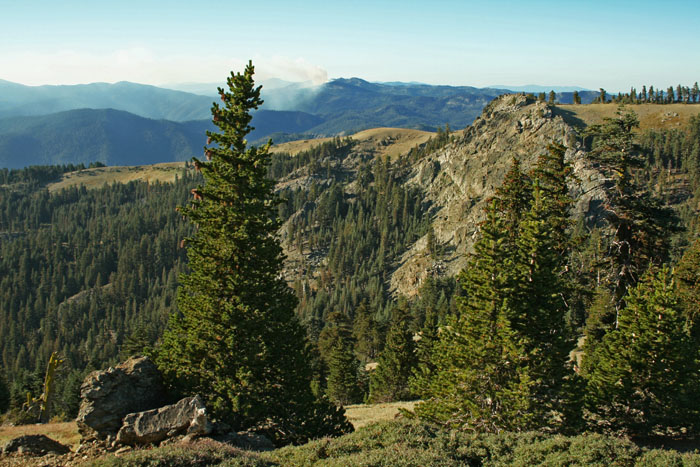 Forested ridges in the Yolla Bolly-Middle Eel Wilderness