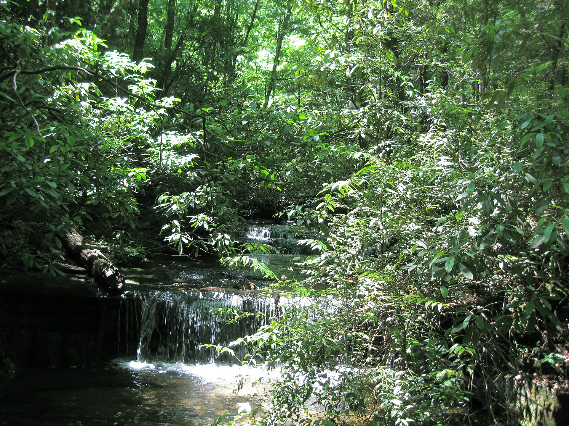 A cascade on Carrick Creek in Table Rock State Park