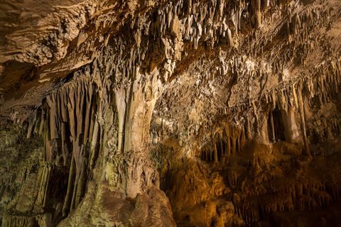 Illuminated stalactites and mineral formations inside a limestone cave