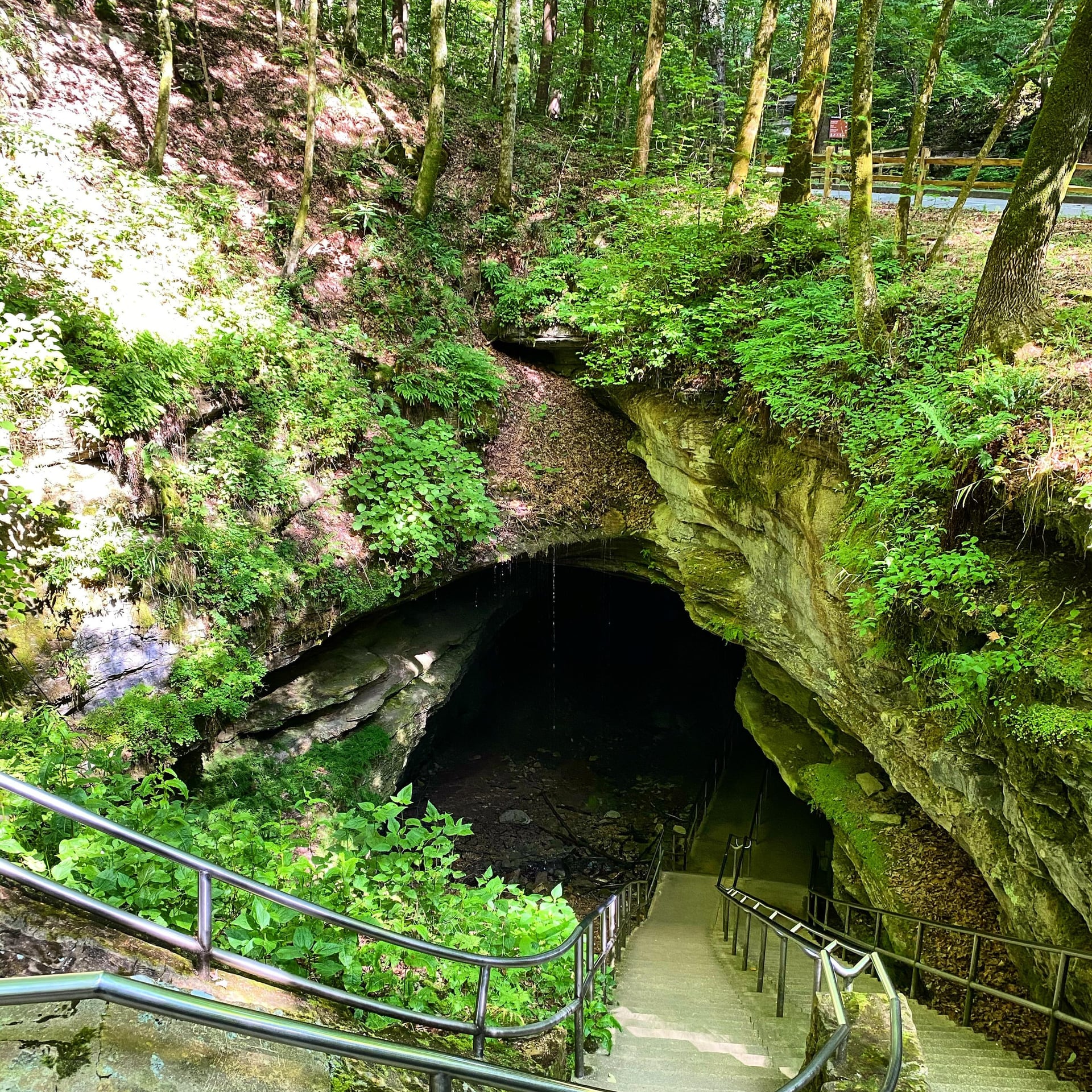 The staircase descending into Mammoth Cave's Historic Entrance