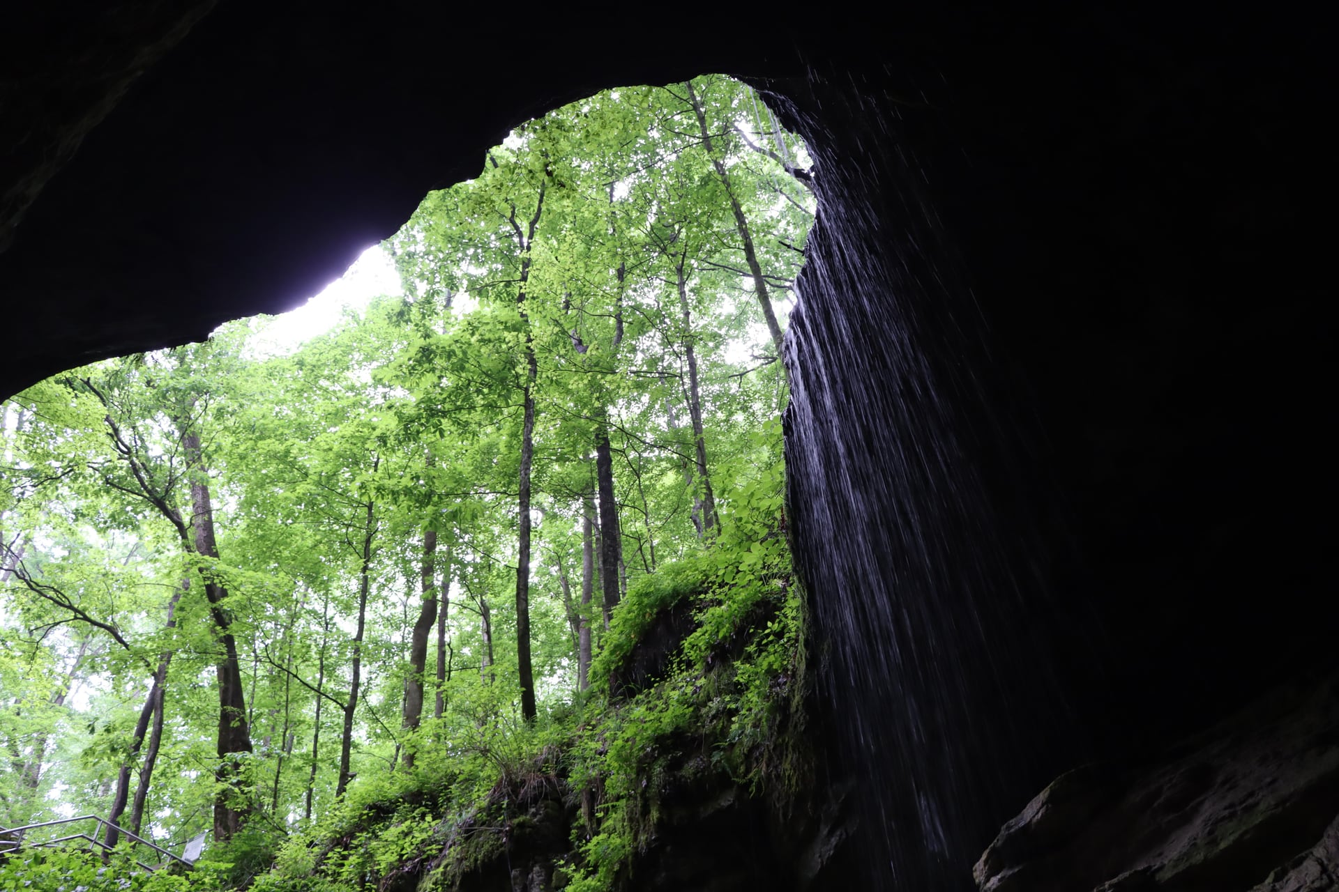 Water falling over the lush natural entrance to Mammoth Cave