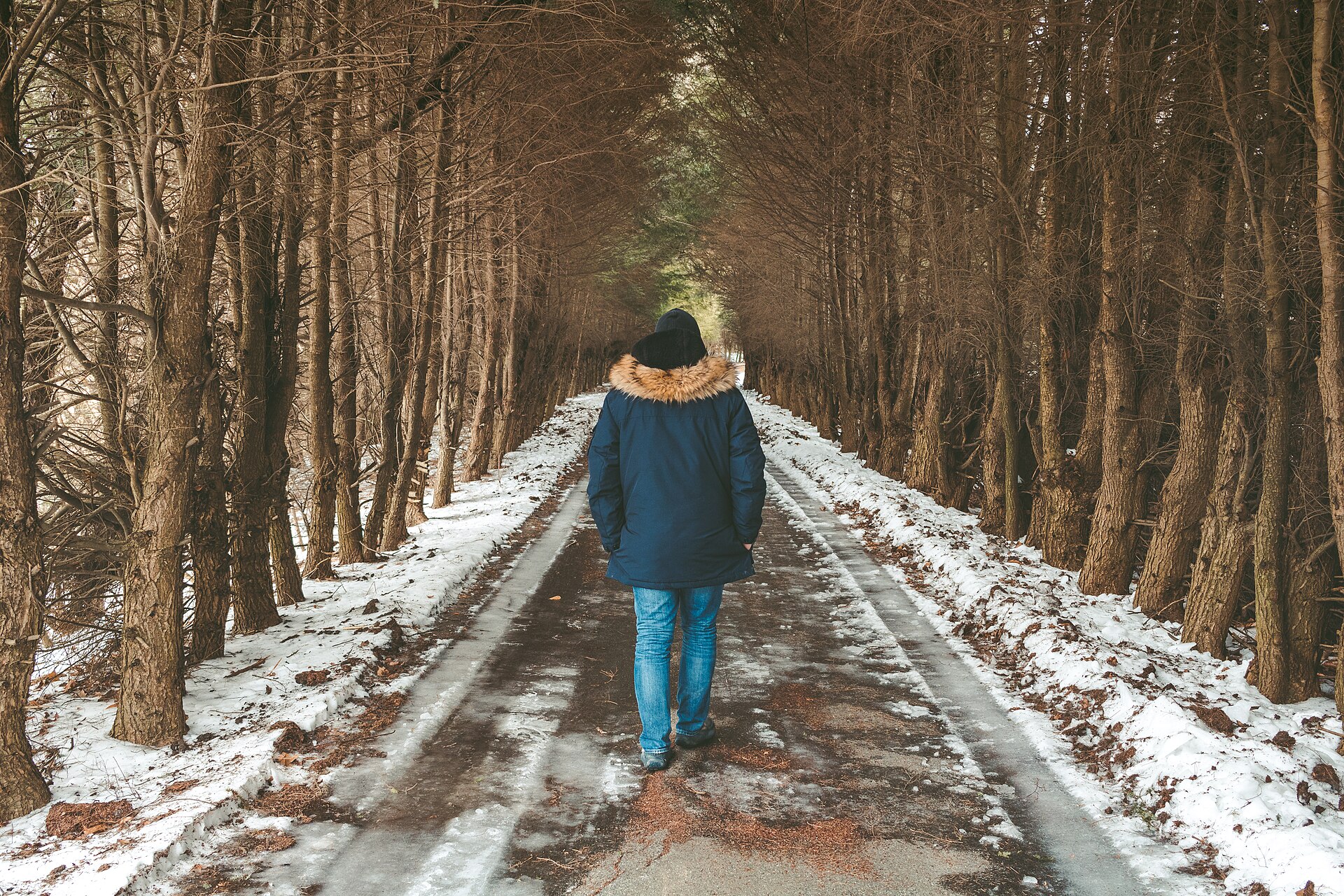 A hiker on a forest path along Vermont's Long Trail